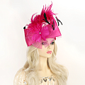Large Bow Frathered Netted Headpiece