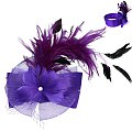 Large Bow Frathered Netted Headpiece