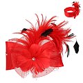 Large Bow Frathered Netted Headpiece