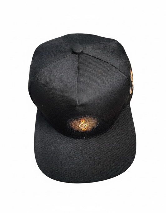 Music Snap Back Cap
